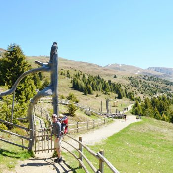 Unser Geheimtipp zum Wandern in Südtirol mit Kindern: der WoodyWalk auf der Plose mit spielerischer Unterhaltung und wunderschönen Blicken.