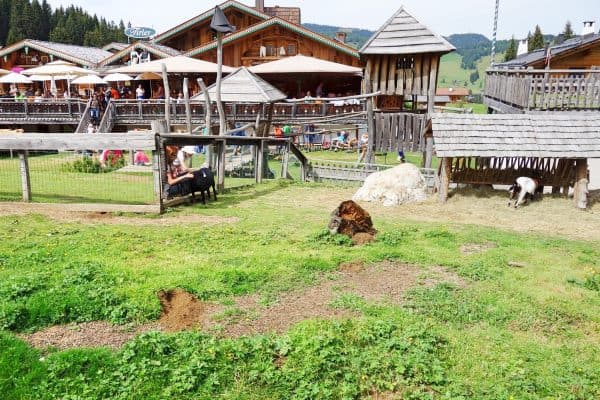 Seiser Alm Dolomiten Wanderweg mit Kindern Naturpfad Baumhaus