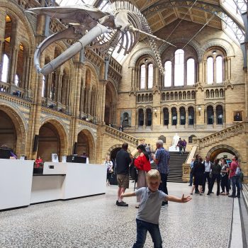 London mit Kindern Natural History Museum indoor activity with kids4