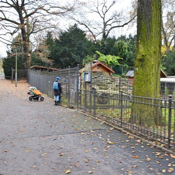 Viktoria Park Berlin mit Kind Spielplatz Tiergehege Familienbrunch Familienrestaurant Brunch mit Kindern