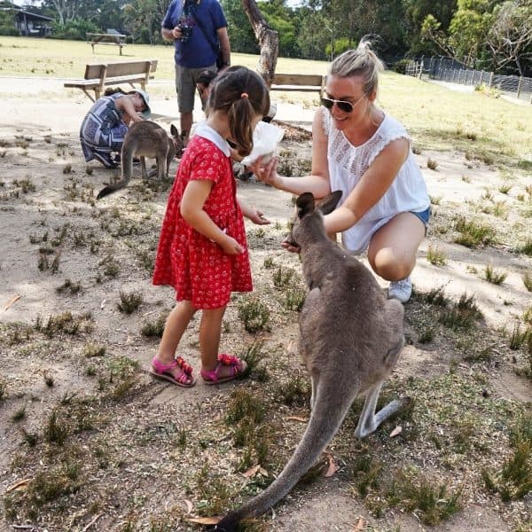 Wild life zoo Autralia Sydney Sydney with children