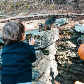 Eichhörnchen Füttern im Wald mit Kindern in Bad Gastein