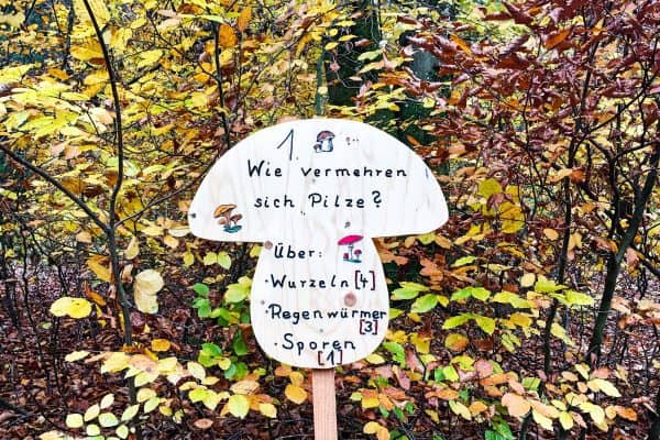 Walderlebniszentrum Grünwald Familienausflug München; goldener Herbst