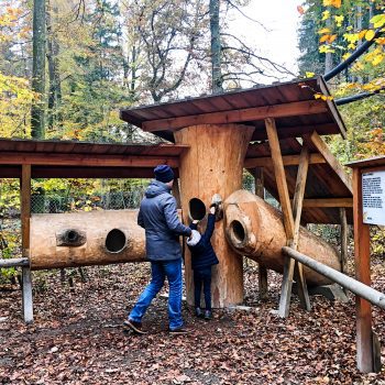 Walderlebniszentrum Grünwald Familienausflug München; goldener Herbst