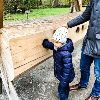 Walderlebniszentrum Grünwald Familienausflug München Fühlen und Tasten in einem Baumstamm
