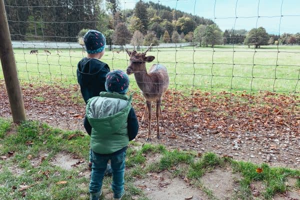 Familienausflug zum Tierpark Rosegg, Kärnten mit Kind, Österreich , Carinthia, Austria