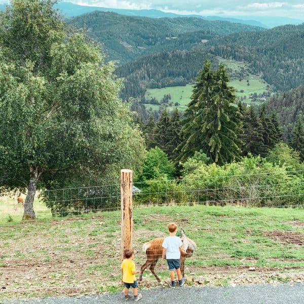 Familienausflug in Kärnten mit Kindern auf den Magdalensberg