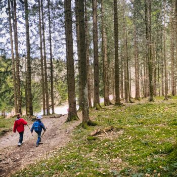 familienfreundliche Wanderung mit Kindern im Chiemgauer Land zum Heubgerg - Krokusblüte - Krokuswiese5