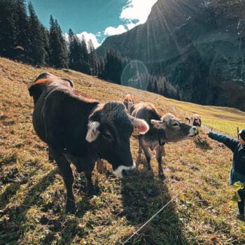 Urlaub in Österreich mit Kindern, Ideen für Ausflüge und kinderfreunliche Hotels