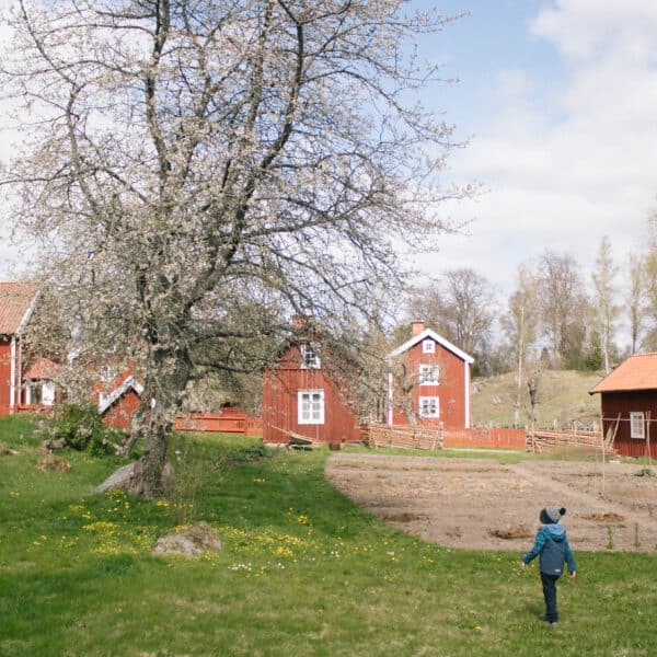 Ausflug mit Kindern Schweden: Kulturreservat Stensjö by6