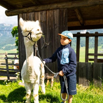 Wandern mit Kindern in der Ramsau am Dachstein: Natur- und Umwelterlebnispfad am Sattelberg
