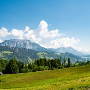Alpakawanderung in der Steiermark mit Kindern am Bergbauernhof - Ausflugstipp für Familien