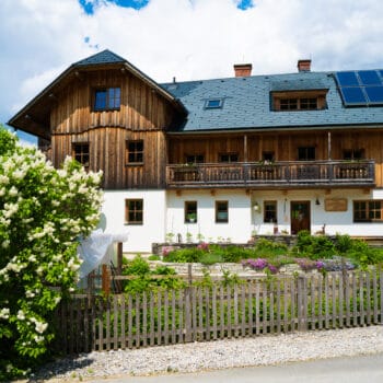 Bauernhof in Österreich mit Alpakas. 
Alpakawanderung in der Steiermark mit Kindern am Bergbauernhof - Ausflugstipp für Familien