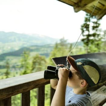 Wandern mit Kindern in der Ramsau am Dachstein: Natur- und Umwelterlebnispfad am Sattelberg