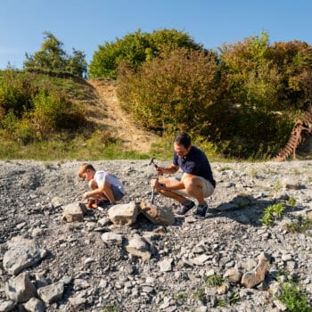 coole Adressen für euren Familienausflug in der Schwäbischen Alb - gemeinsam Fossilien suchen mit Kindern ist ein echtes Erlebnis